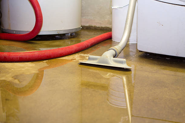 Best Water damage restoration near me  in North Valley, NM