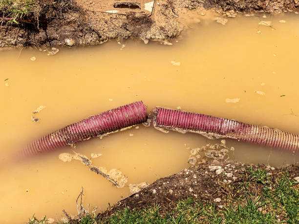 Best Water damage restoration near me  in North Valley, NM